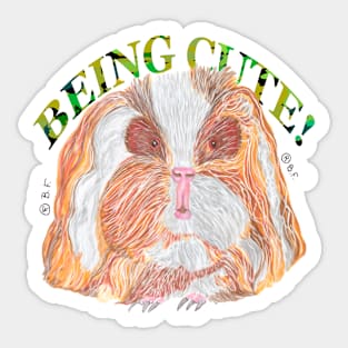 TEXEL GUINEA PIG BEING CUTE Sticker